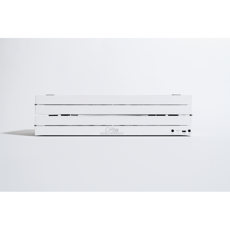 Blackstar Carry-On Folding Piano 88 Touch BK — view 4