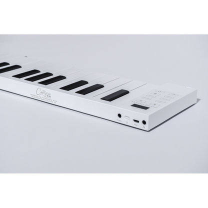 Blackstar Carry-On Folding Piano 88 Touch BK — view 6