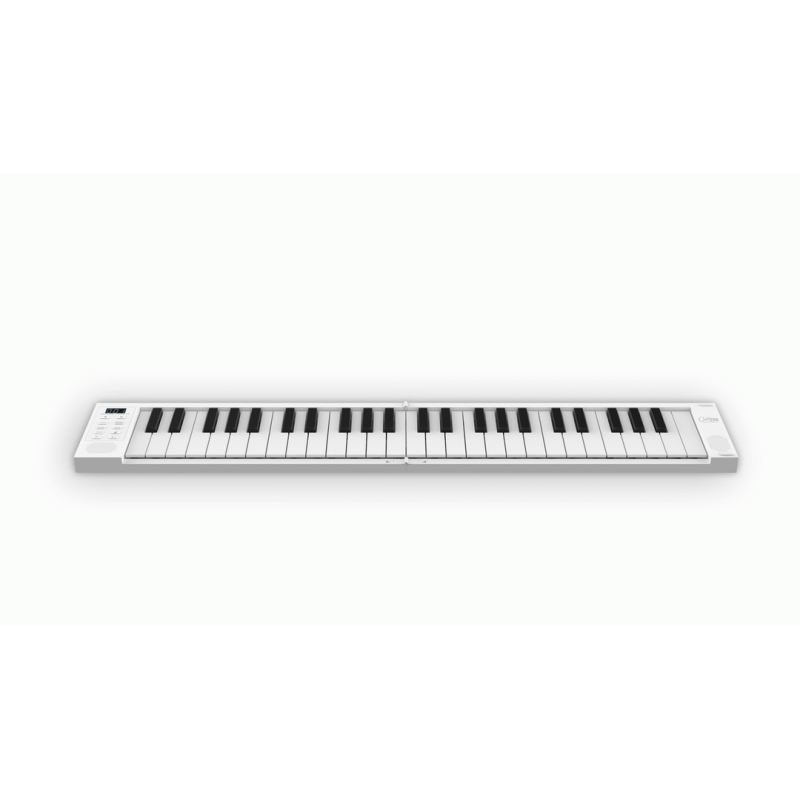 Blackstar Carry-On Folding Controller BK
