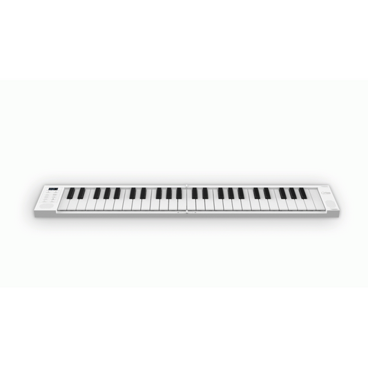 Blackstar Carry-On Folding Controller BK