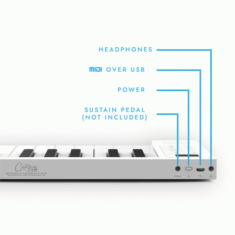 Blackstar Carry-On Folding Controller BK — view 4
