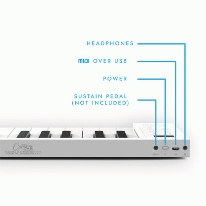 Blackstar Carry-On Folding Controller BK — view 4
