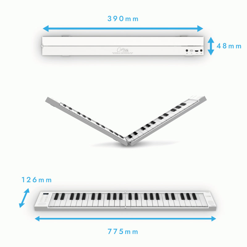 Blackstar Carry-On Folding Controller BK — view 5