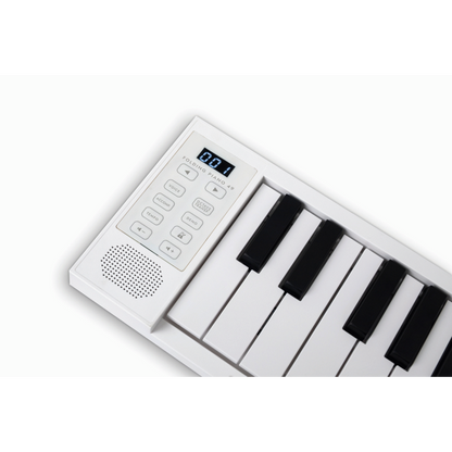 Blackstar Carry-On Folding Controller BK — view 6