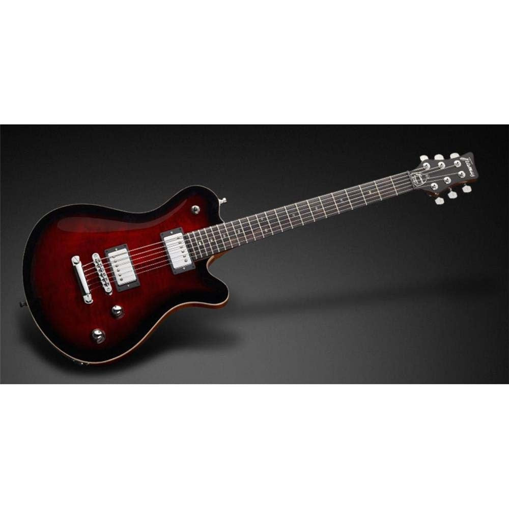 ZGPS175651PPMAHCR Panthera Pro. Mahogany Body Burgundy Blackburst Trans. — view 3