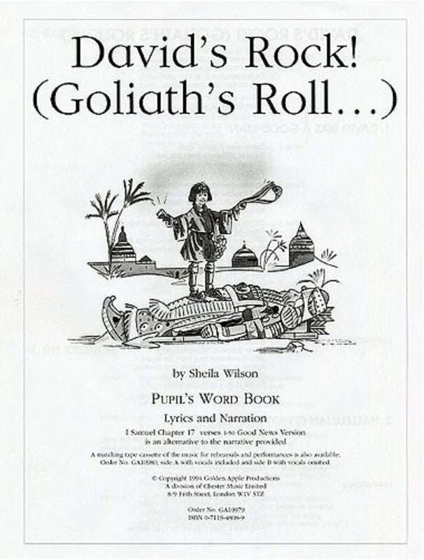 Wilson Davids Rock Pupils Book