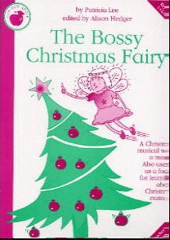 Lee Bossy Christmas Fairy Teachers Book Book