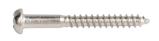 Dimarzio Trem Bridge Mounting Screw SC Style 1 Inch Chrome