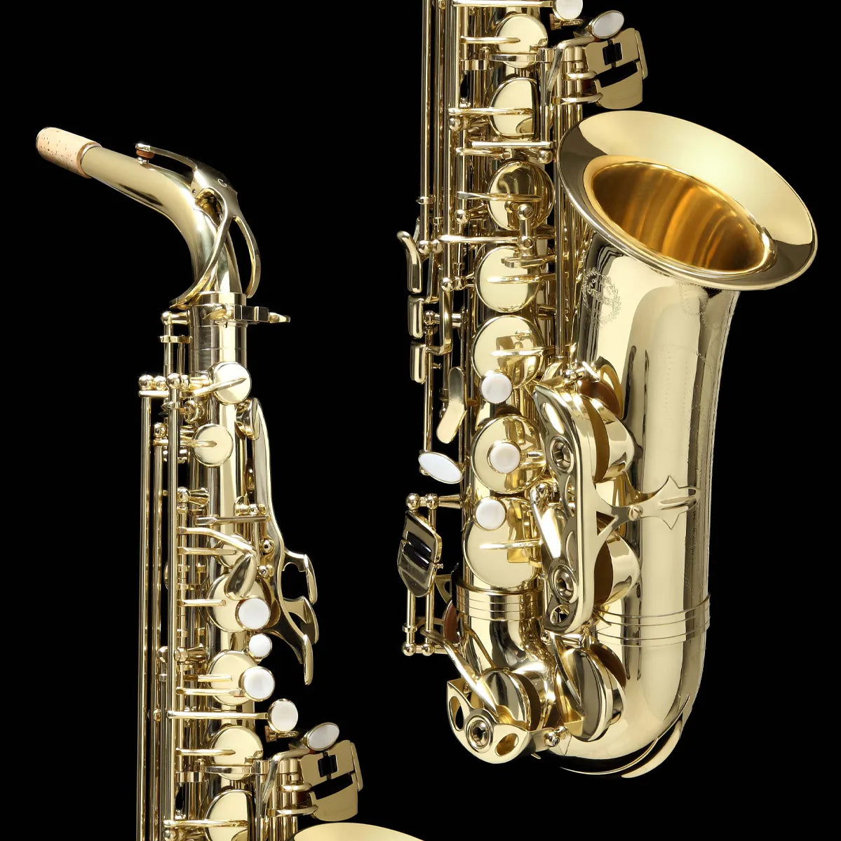 Grassi AS20SK Alto Saxophone Student Kit with Accessories — view 2