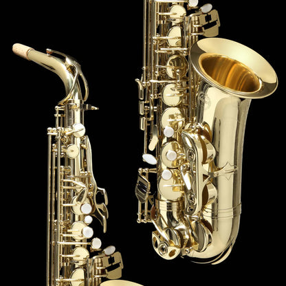 Grassi AS20SK Alto Saxophone Student Kit with Accessories — view 2