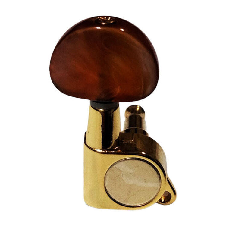 GT Acoustic/Electric Guitar 3+3 Sealed Tuning Machines Gold Finish with Brown Pearl Buttons