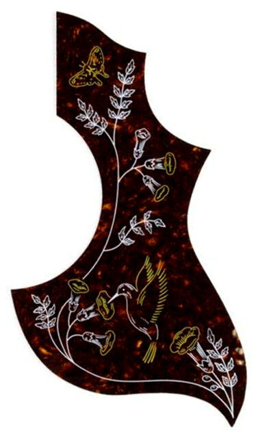 GT Acoustic Guitar Pickguard Hummingbird Design Shell Finish