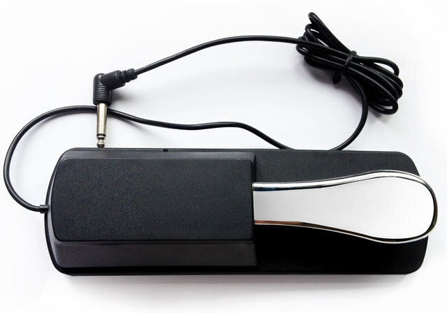 GT Sustain Pedal with 6ft Cable and Polarity Switch for Multiple Brands