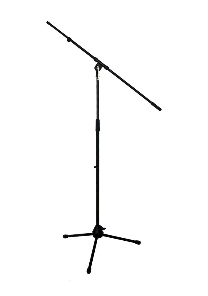 HAMILTON Euro Style Combo Mic Stand