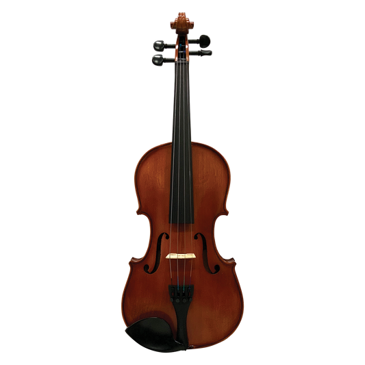 Hidersine HW3180B Studenti Academy Finetune 3/4 Violin Student Outfit with Case, Bow, Rosin, and Wittner Pegs