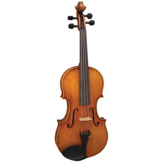 Hidersine Reserve WV400 4/4 Violin Outfit with Premium Setup and Lightweight Poly-Foam Case
