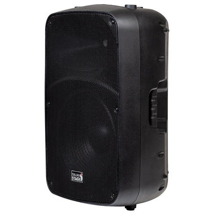 Italian Stage SPX12AUB 12" Bi-Active Two Way Speaker with Media Player