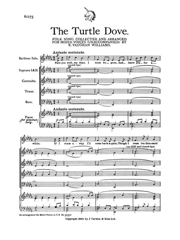 Turtle Dove
