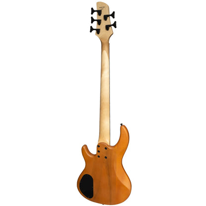 J&D Legacy Series Mahogany & Zebrano T-Style 5 String Electric Bass Guitar with Active Pickups — view 2