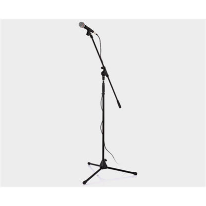 TM969 + mic stand + cable