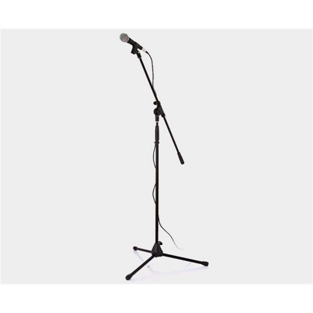 TM969 + mic stand + cable — view 3