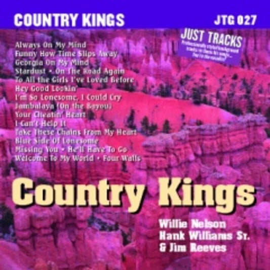 Sing The Hits Willie Nelson Hank Williams Sr Jim Book
