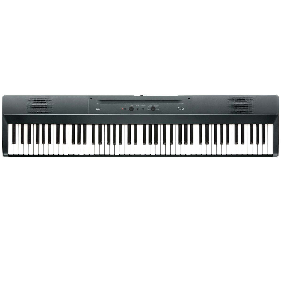Korg Liano 88-Key Piano - Metallic Gray