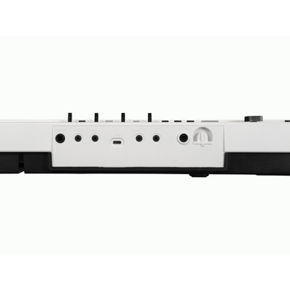 Korg Liano Live 88 Note Streaming Piano Kit with Microphone, Stand, Cable, USB-C, and Built-in Audio Mixer — view 5