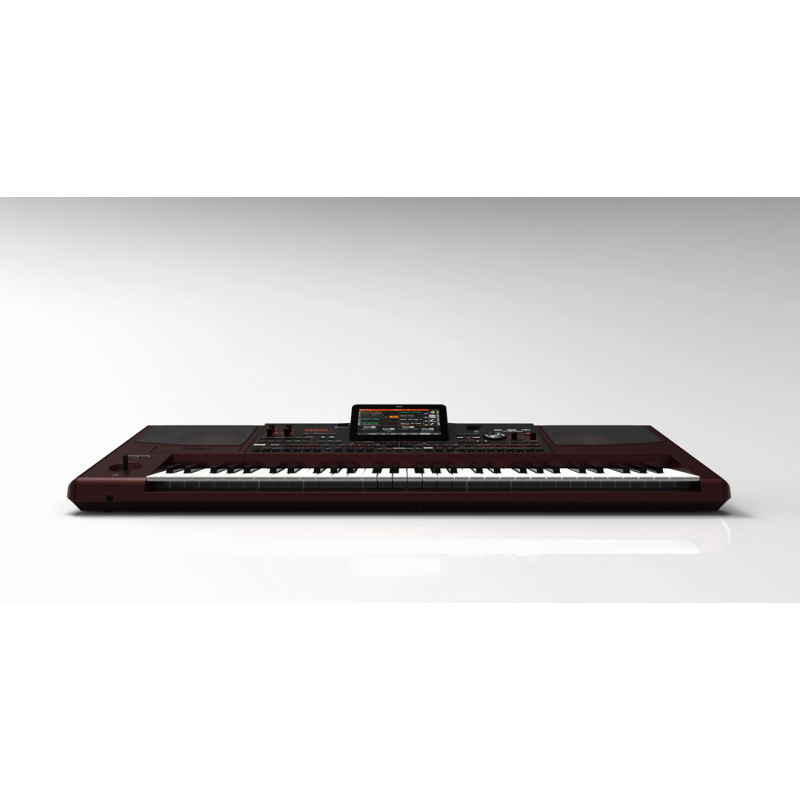 KORG Pa1000 Professional Arranger Keyboard — view 4