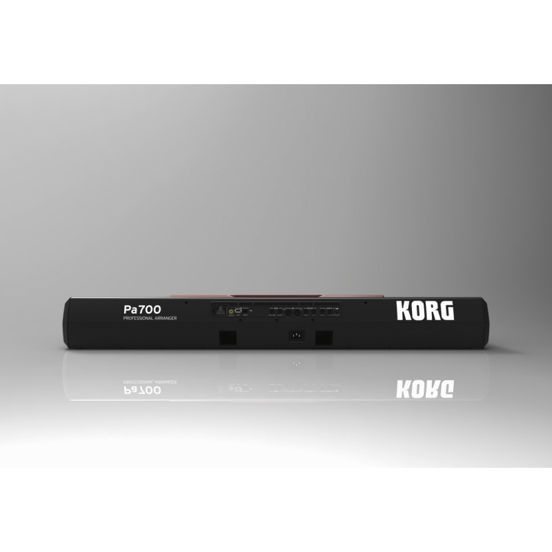 KORG Pa700 Oriental Arranger Keyboard with Mini-Keyboard and Middle Eastern Sounds and Styles — view 5