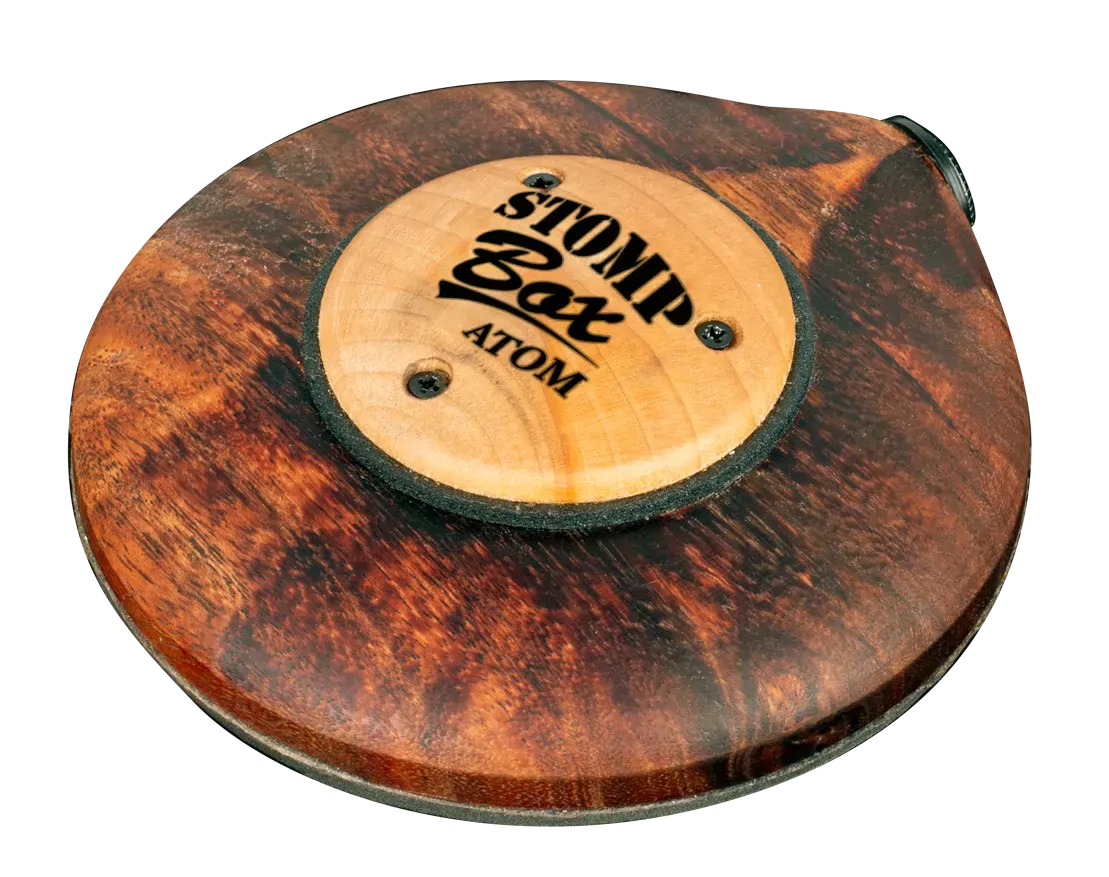 Atomic Stompbox Atom Floor Effect Unit
