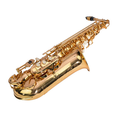 Steinhoff AS10 Advanced Student Alto Saxophone Gold Lacquer with Case and Accessories — view 3
