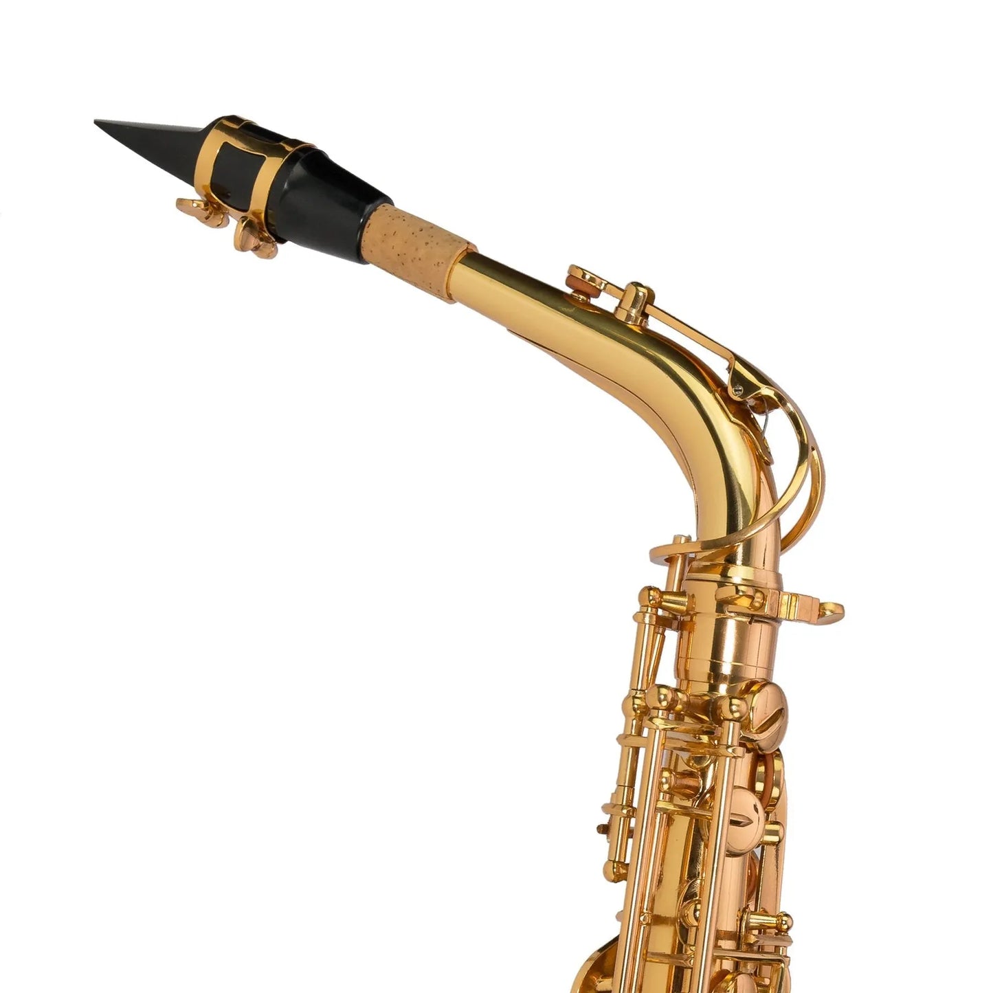 Steinhoff AS10 Advanced Student Alto Saxophone Gold Lacquer with Case and Accessories — view 5