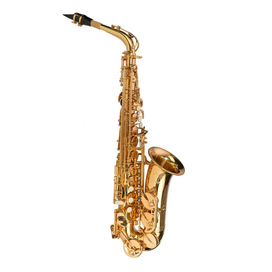 Steinhoff AS10 Advanced Student Alto Saxophone Gold Lacquer with Case and Accessories
