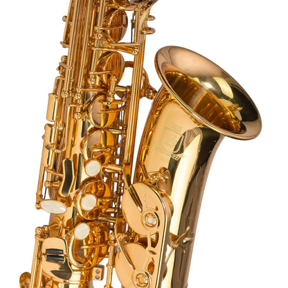 Steinhoff AS10 Advanced Student Alto Saxophone Gold Lacquer with Case and Accessories — view 4