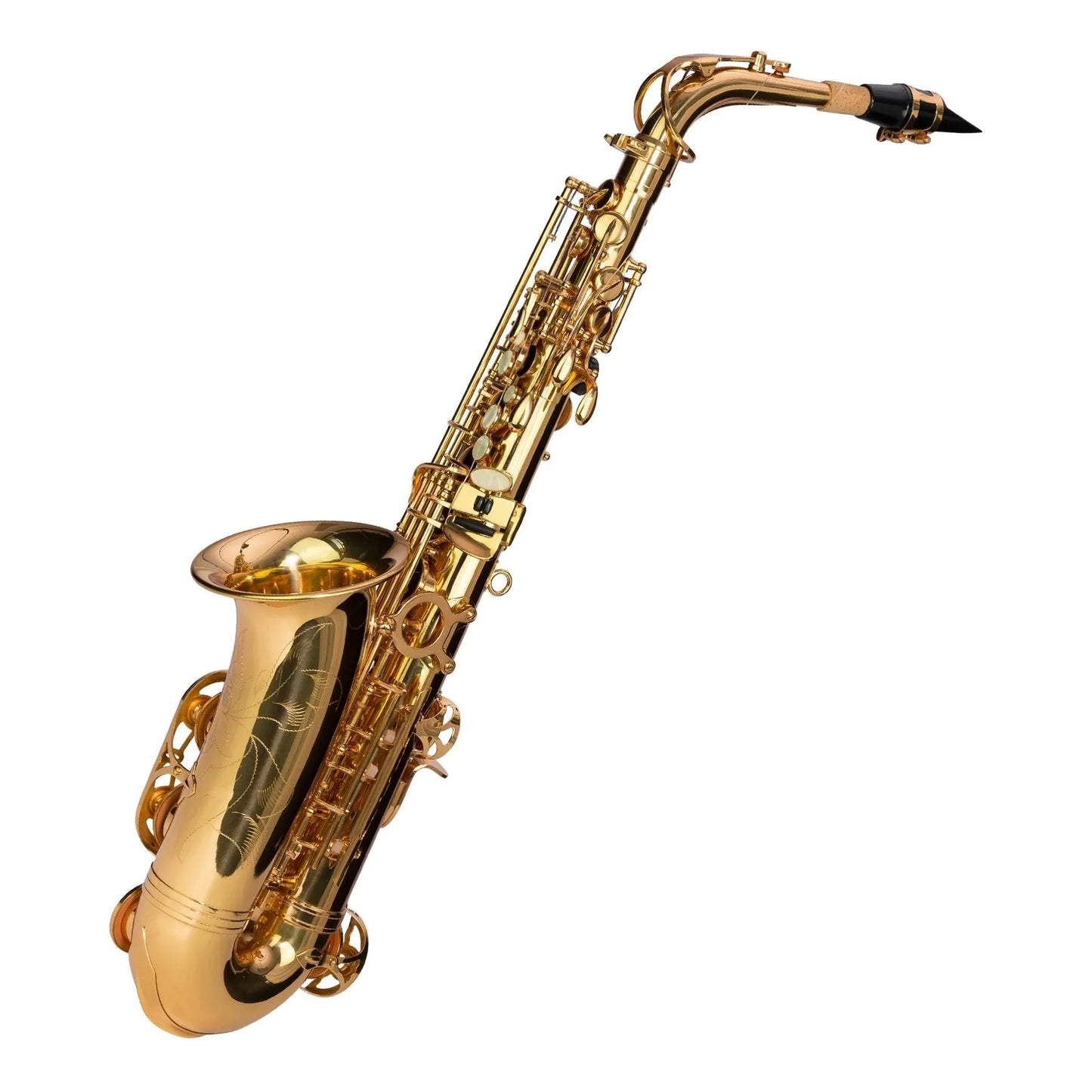 Steinhoff AS10 Advanced Student Alto Saxophone Gold Lacquer with Case and Accessories — view 2