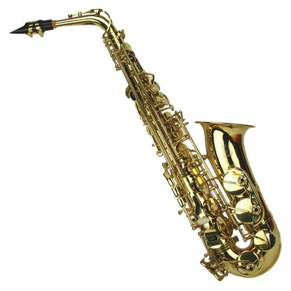 Steinhoff KSO-AS2-GLD E Flat Alto Saxophone with Gold Lacquered Brass Body and Accessories — view 3