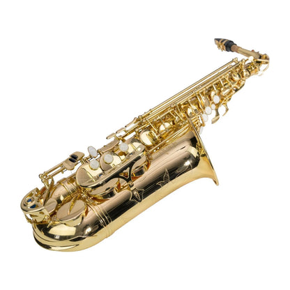 Steinhoff AS20 Intermediate Alto Saxophone Gold Lacquer with Case — view 3