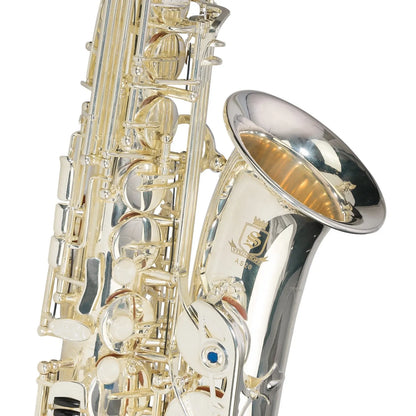 Steinhoff AS20 Intermediate Alto Saxophone Silver with Case and Accessories — view 4