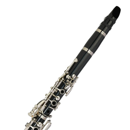 Steinhoff CL20 Advanced Student Bb Clarinet with Case and Accessories — view 4