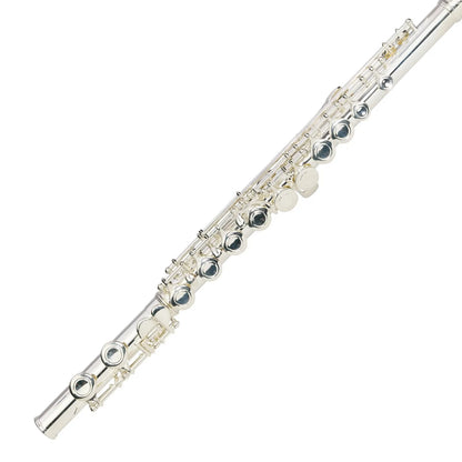 Steinhoff FL20 Advanced Student C Flute with Offset G, Split E Mechanism, C Foot, Polyfoam Case — view 3