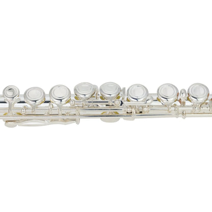 Steinhoff Twin-Head Intermediate C Flute with Hardcase - Curved & Straight Heads, Offset G, Split E Mechanism — view 6