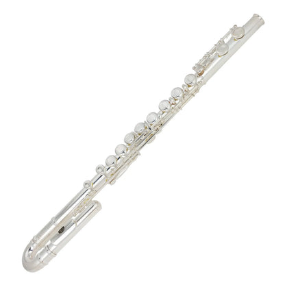 Steinhoff Twin-Head Intermediate C Flute with Hardcase - Curved & Straight Heads, Offset G, Split E Mechanism