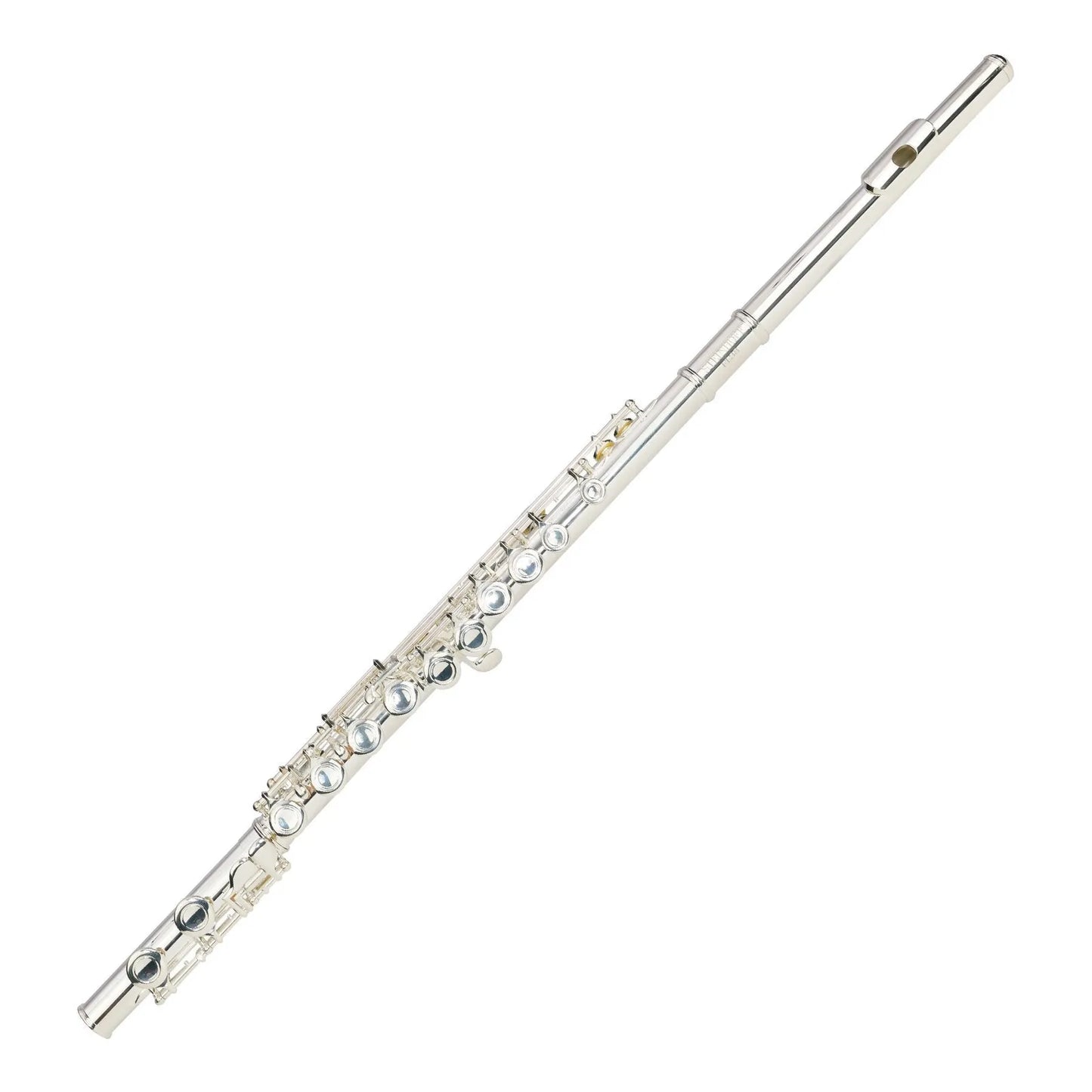 Steinhoff Twin-Head Intermediate C Flute with Hardcase - Curved & Straight Heads, Offset G, Split E Mechanism — view 2