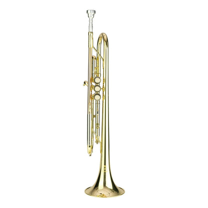 Steinhoff TR20 Intermediate Bb Trumpet with Case, Gold Finish, Rose Brass, Monel Valves, F-trigger, 7C Mouthpiece — view 2