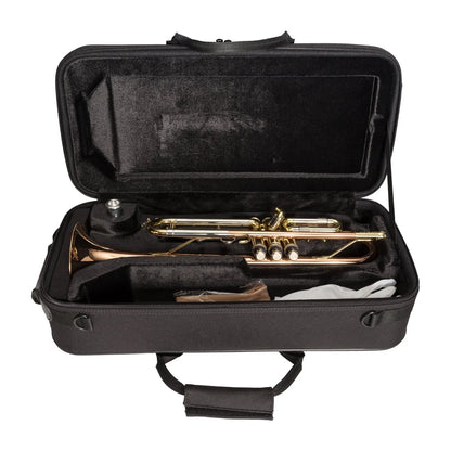 Steinhoff TR20 Intermediate Bb Trumpet with Case, Gold Finish, Rose Brass, Monel Valves, F-trigger, 7C Mouthpiece — view 5