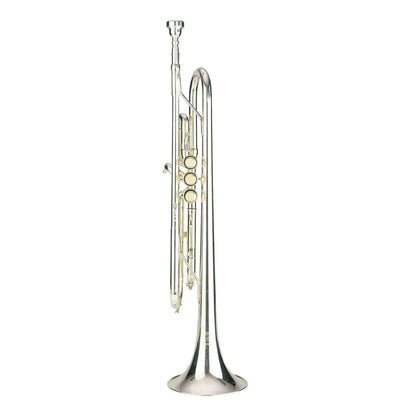 Steinhoff Intermediate Bb Trumpet TR20 with Case and Accessories — view 2
