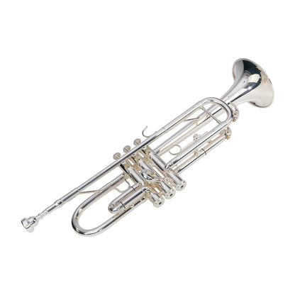 Steinhoff Intermediate Bb Trumpet TR20 with Case and Accessories — view 3