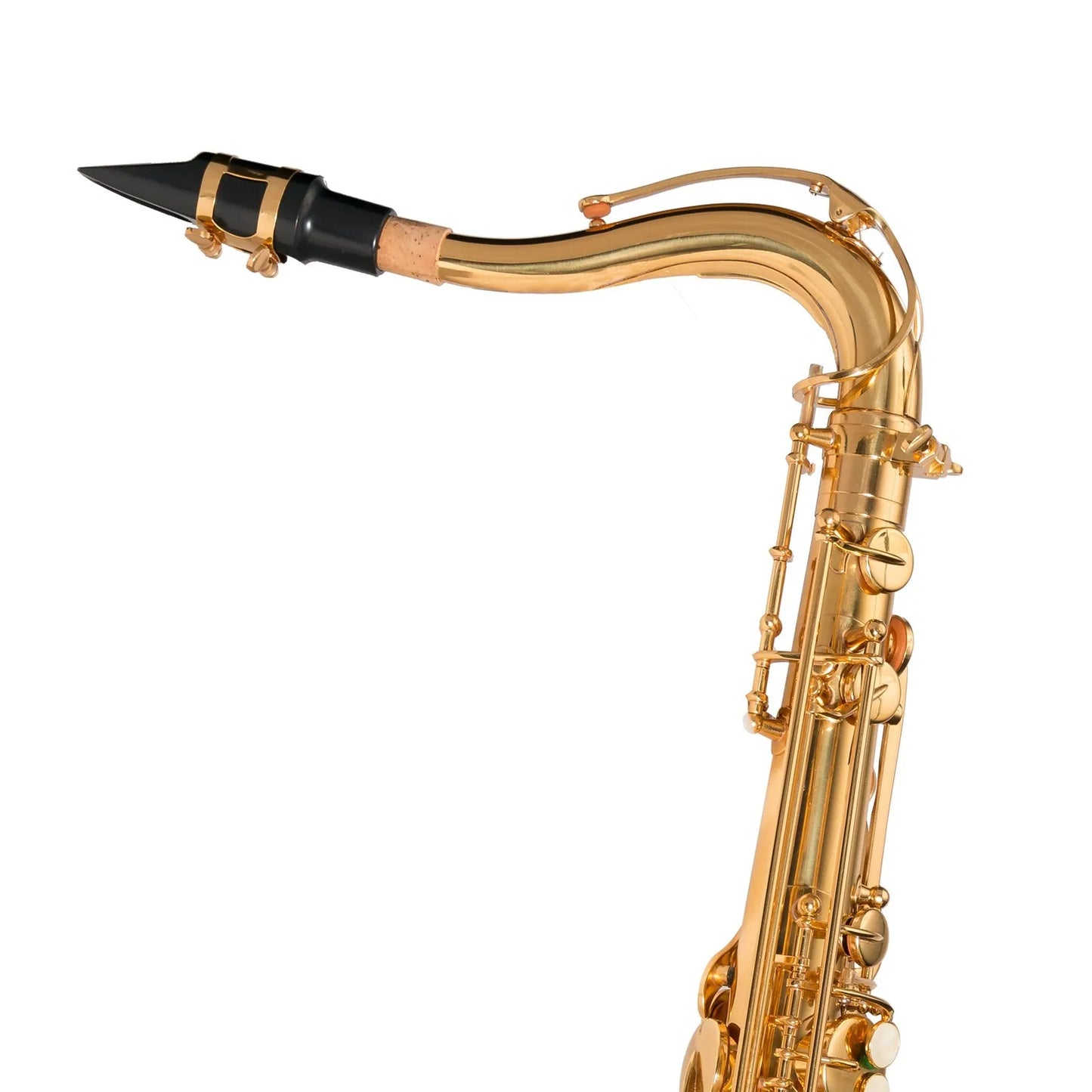 Steinhoff TS20 Intermediate Tenor Saxophone Gold Lacquer with Case and Accessories — view 4