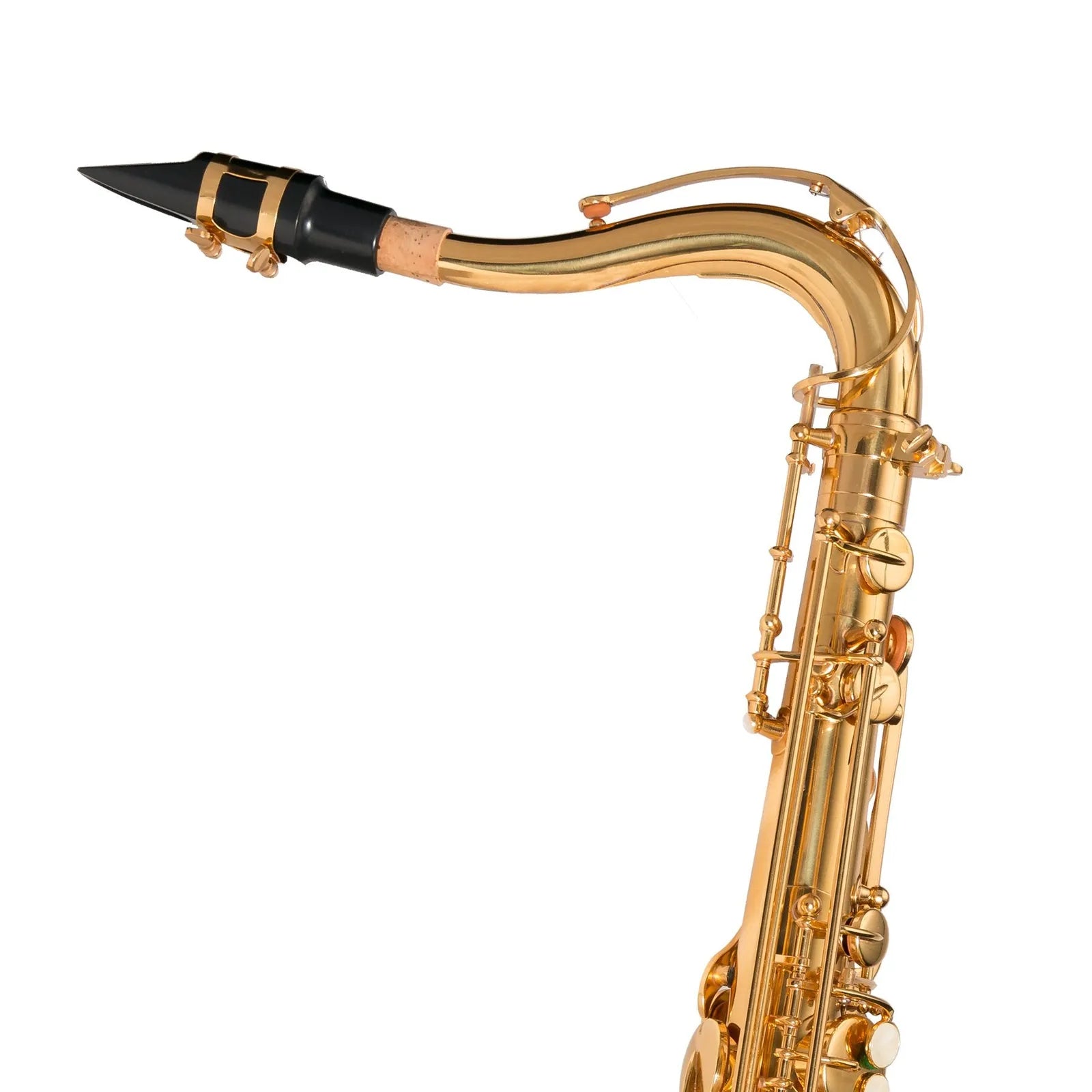 Steinhoff TS20 Intermediate Tenor Saxophone Gold Lacquer with Case and Accessories — view 4